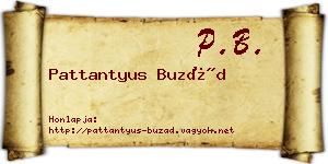 Pattantyus Buzád névjegykártya